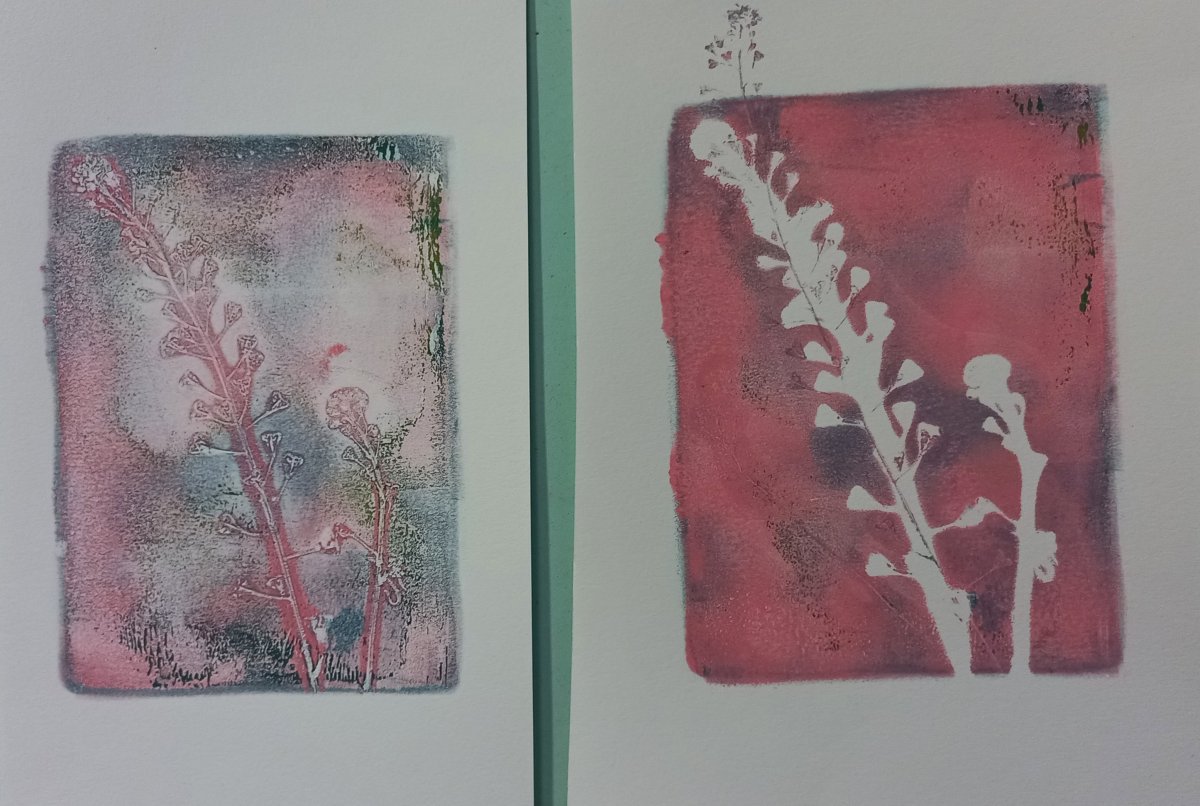 Atelier Gelly Print (impression végétale) - Atelier pour les 7/12 ans